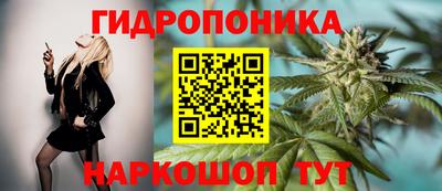 амфетамин Можга